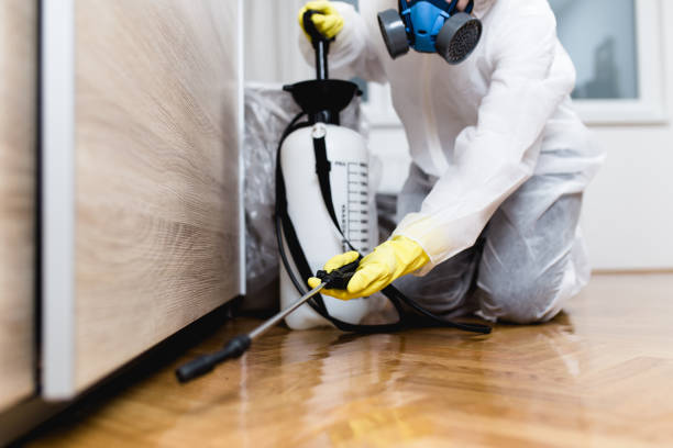 Best Termite Control Services  in Willoughby, OH