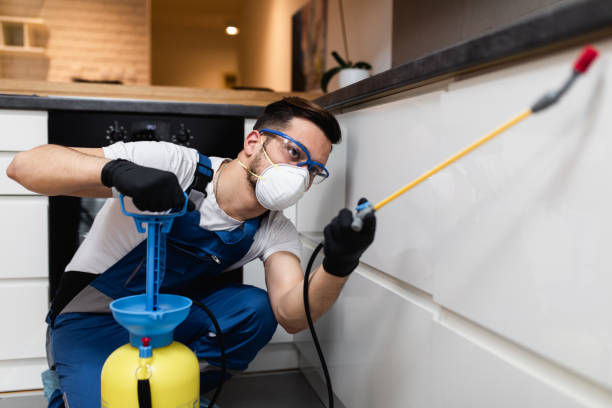 Best Wildlife Control Services  in Willoughby, OH