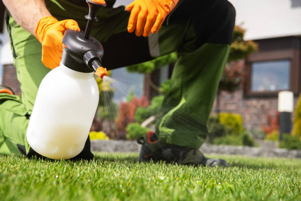 Best Pest Removal Services  in Willoughby, OH