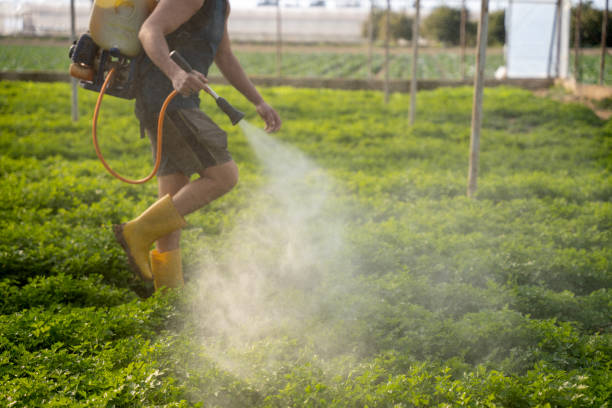 Best Residential Pest Control  in Willoughby, OH