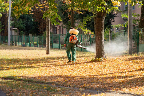 Best Insect Control  in Willoughby, OH