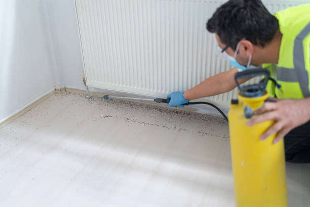 Best Best Pest Control Companies  in Willoughby, OH